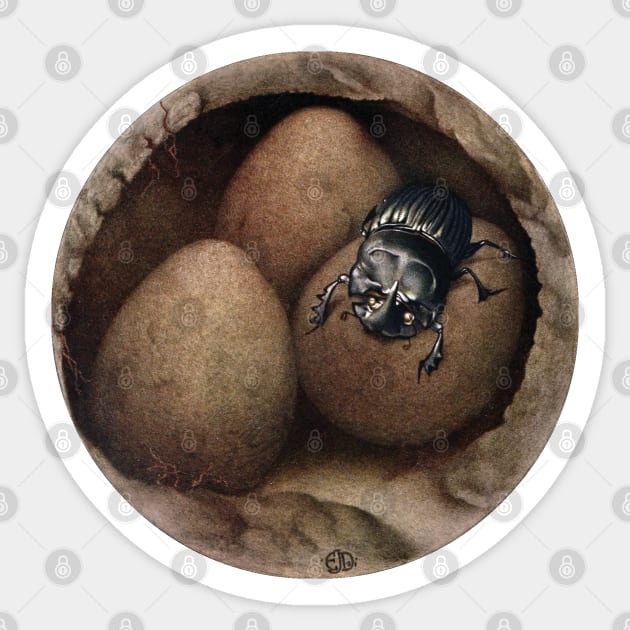 Spanish dung beetle (Copris hispanus) in nest burrow. Sticker by Luggnagg